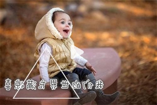 带琴字的女孩子名字 琴字名字大全含义 独一无二好听的带琴字女孩名字(最新)